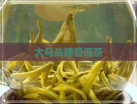 大马头牌普洱茶