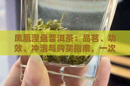 凤凰涅盘普洱茶：品茗、功效、冲泡与购买指南，一次解决您的所有疑问