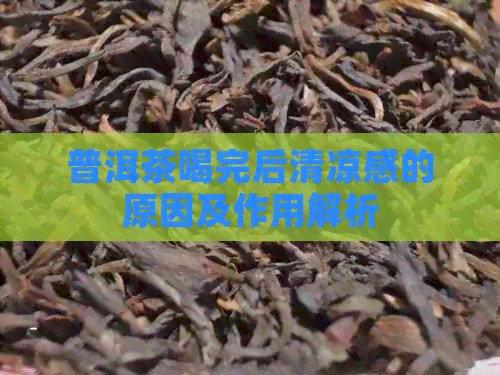 普洱茶喝完后清凉感的原因及作用解析