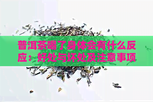 普洱茶喝了身体会有什么反应：好处与坏处及注意事项