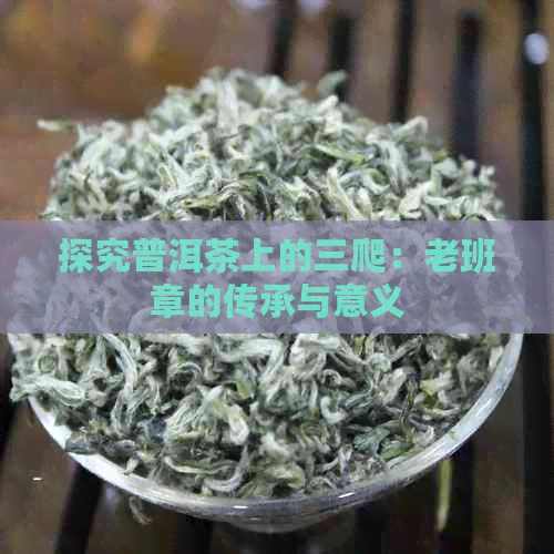 探究普洱茶上的三爬：老班章的传承与意义