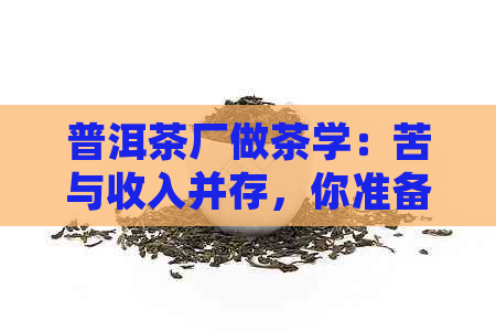 普洱茶厂做茶学：苦与收入并存，你准备好了吗？