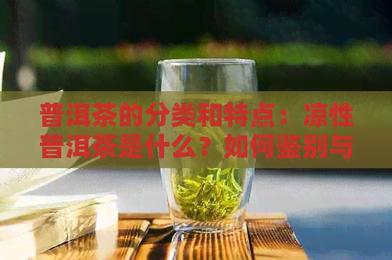 普洱茶的分类和特点：凉性普洱茶是什么？如何鉴别与品鉴？