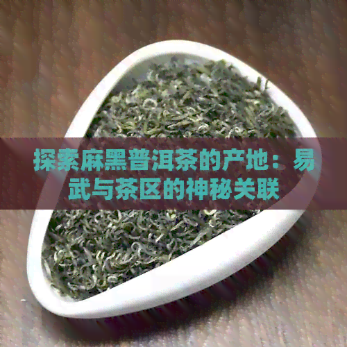 探索麻黑普洱茶的产地：易武与茶区的神秘关联