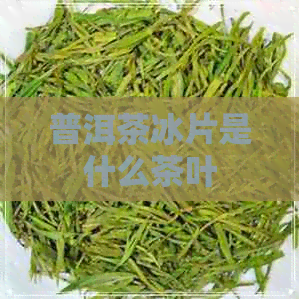 普洱茶冰片是什么茶叶