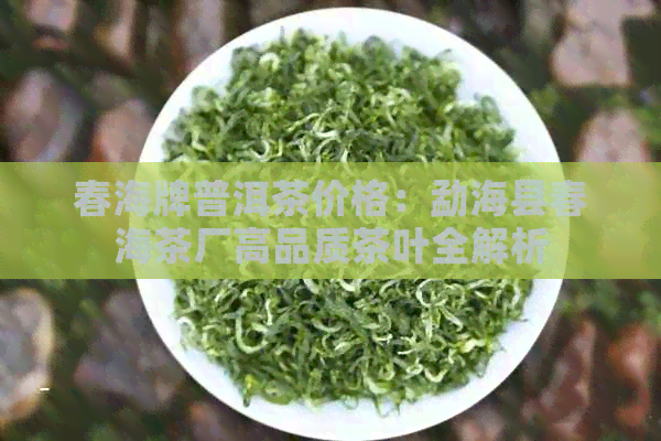 春海牌普洱茶价格：勐海县春海茶厂高品质茶叶全解析