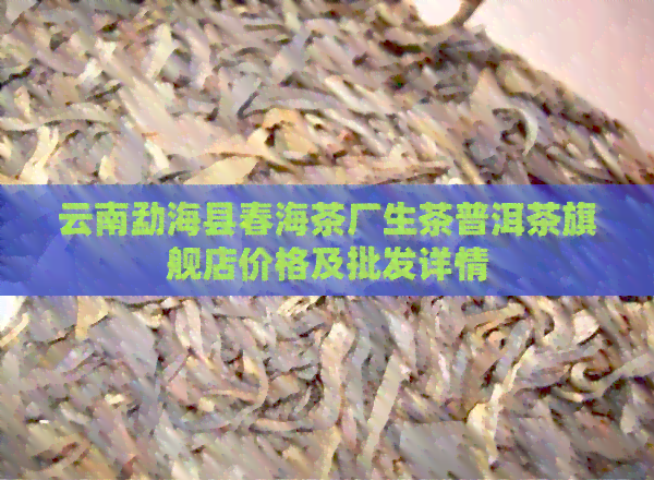 云南勐海县春海茶厂生茶普洱茶旗舰店价格及批发详情