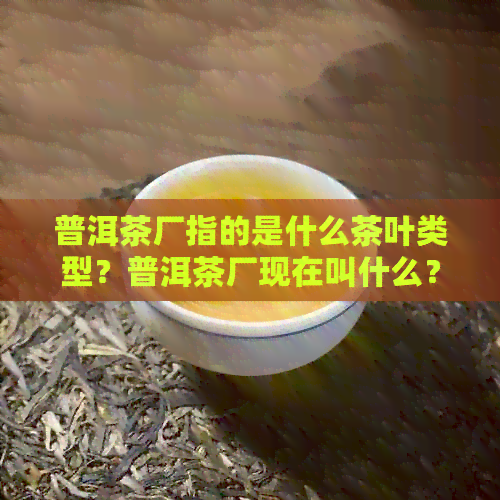 普洱茶厂指的是什么茶叶类型？普洱茶厂现在叫什么？