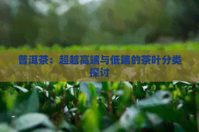 普洱茶：超越高端与低端的茶叶分类探讨