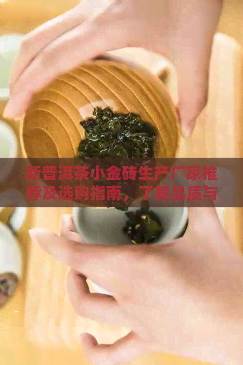 新普洱茶小金砖生产厂家推荐及选购指南，了解品质与价格的综合考量