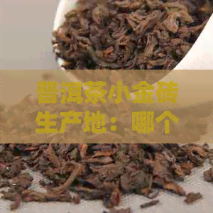 普洱茶小金砖生产地：哪个牌子好？价格是多少？