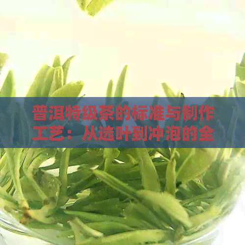 普洱特级茶的标准与制作工艺：从选叶到冲泡的全方位指南