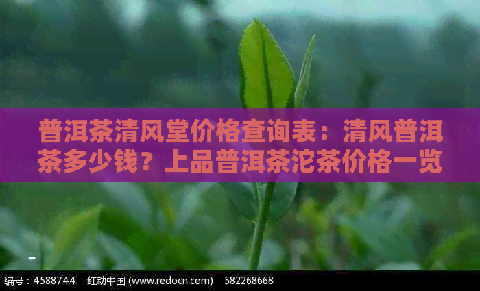 普洱茶清风堂价格查询表：清风普洱茶多少钱？上品普洱茶沱茶价格一览。