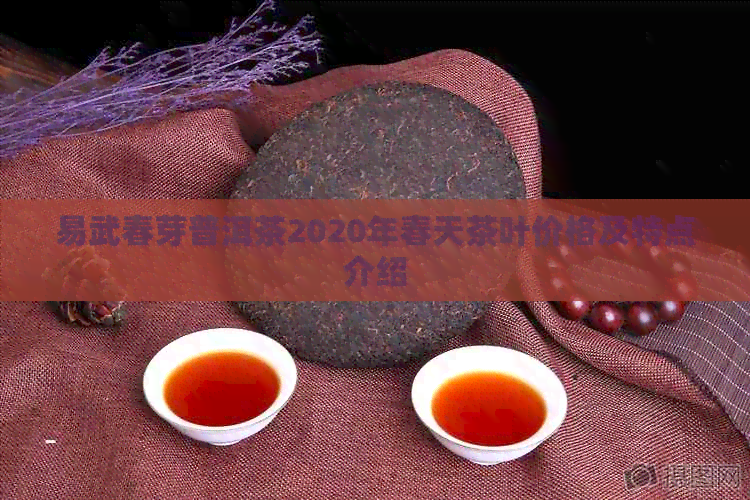 易武春芽普洱茶2020年春天茶叶价格及特点介绍