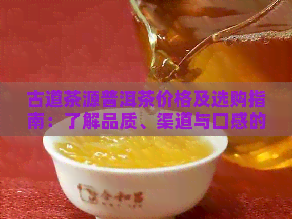 古道茶源普洱茶价格及选购指南：了解品质、渠道与口感的全方位分析