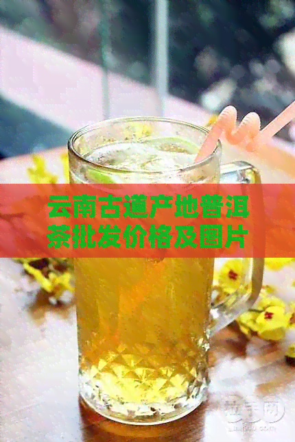 云南古道产地普洱茶批发价格及图片——促销活动