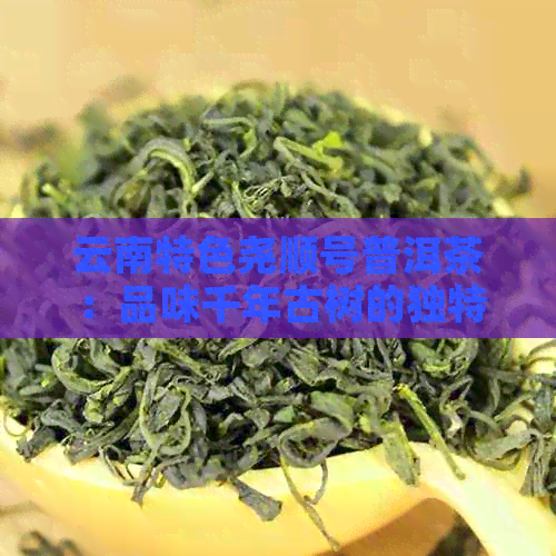 云南特色尧顺号普洱茶：品味千年古树的独特魅力