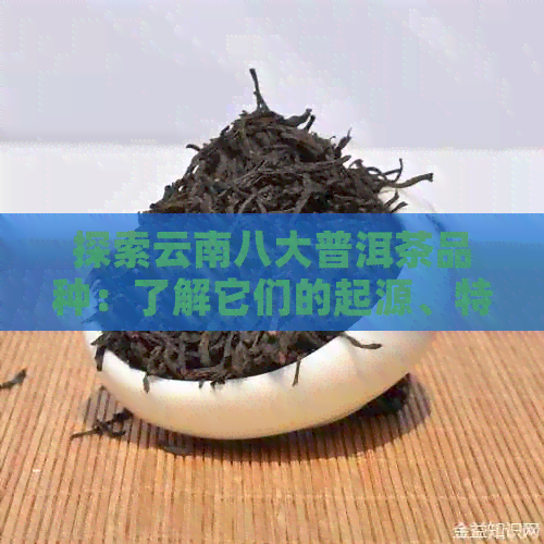 探索云南八大普洱茶品种：了解它们的起源、特点与口感，让你成为茶叶专家