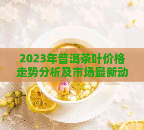 2023年普洱茶叶价格走势分析及市场最新动态