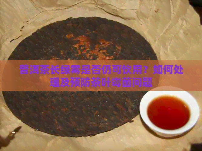 普洱茶长绿霉是否仍可饮用？如何处理及预防茶叶霉菌问题