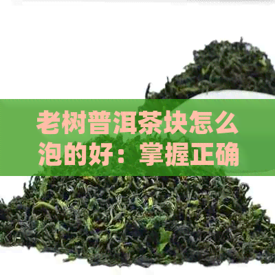 老树普洱茶块怎么泡的好：掌握正确方法，品尝普洱茶的醇厚口感