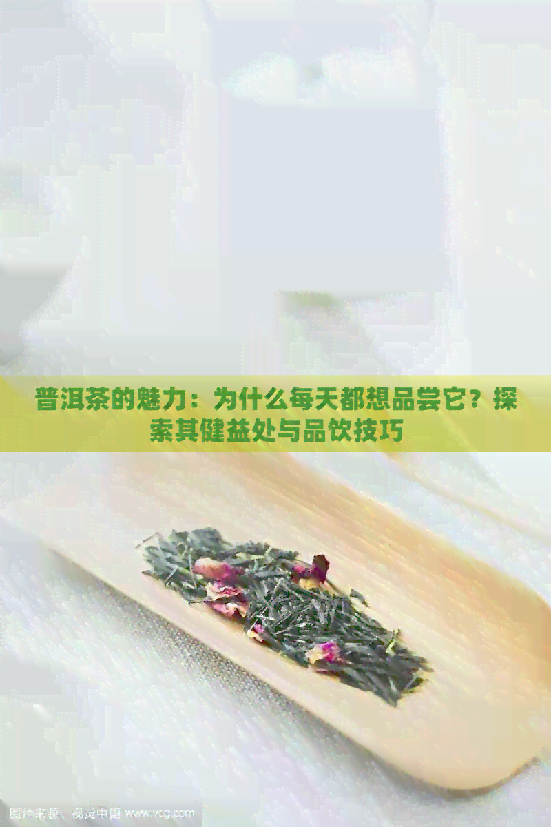 普洱茶的魅力：为什么每天都想品尝它？探索其健益处与品饮技巧