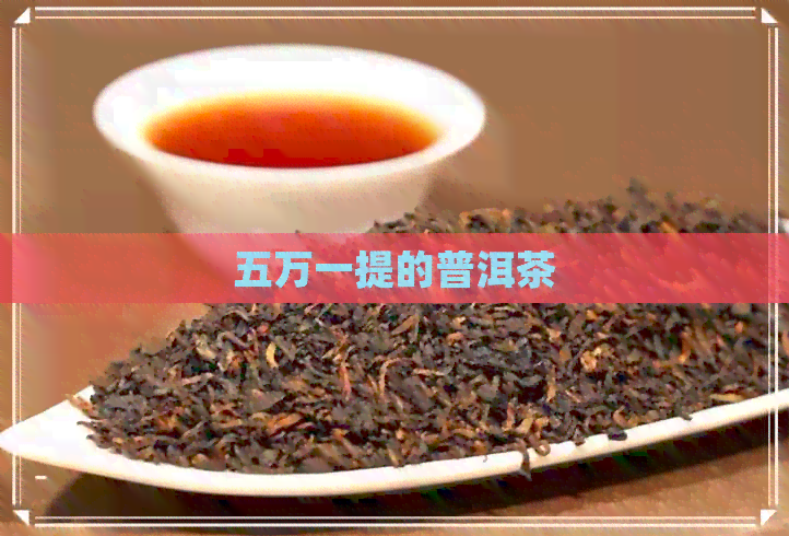 五万一提的普洱茶