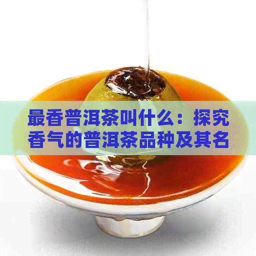 最香普洱茶叫什么：探究香气的普洱茶品种及其名称