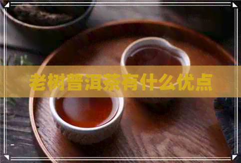 老树普洱茶有什么优点