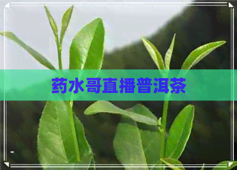 药水哥直播普洱茶