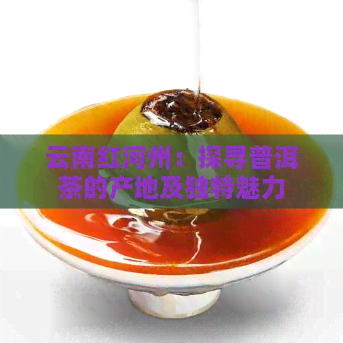 云南红河州：探寻普洱茶的产地及独特魅力