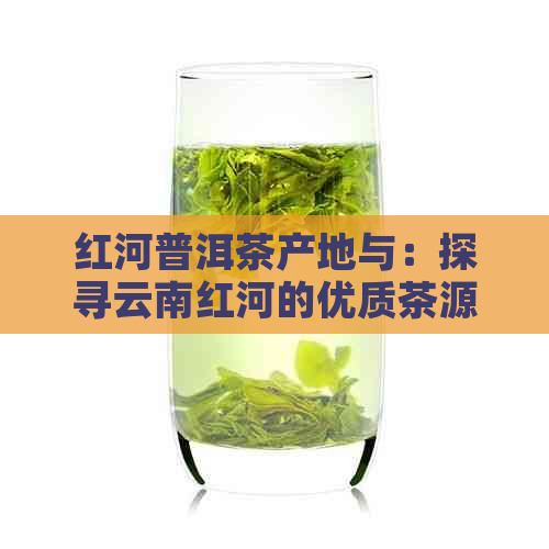 红河普洱茶产地与：探寻云南红河的优质茶源