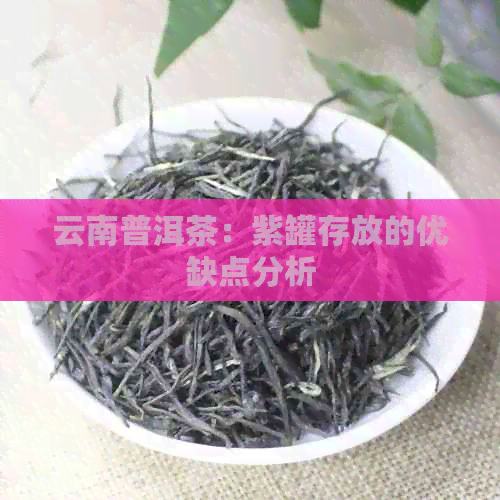 云南普洱茶：紫罐存放的优缺点分析