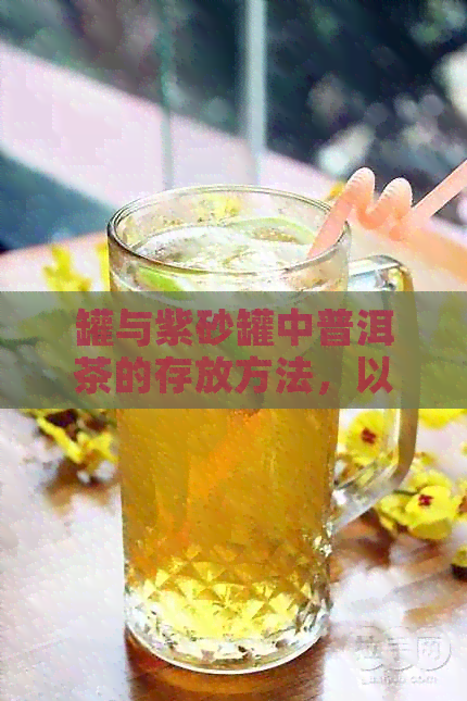 罐与紫砂罐中普洱茶的存放方法，以及如何选择适合您的存容器