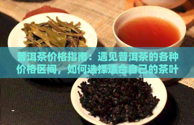 普洱茶价格指南：遇见普洱茶的各种价格区间，如何选择适合自己的茶叶？