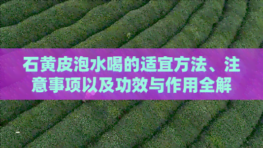 石黄皮泡水喝的适宜方法、注意事项以及功效与作用全解析