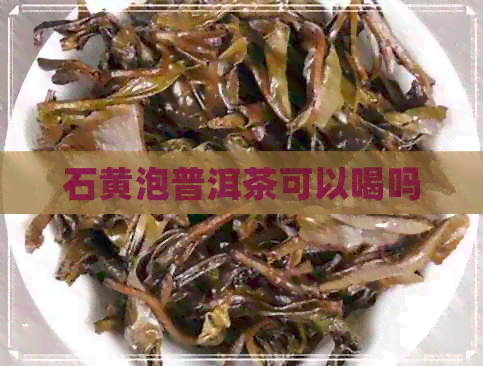 石黄泡普洱茶可以喝吗