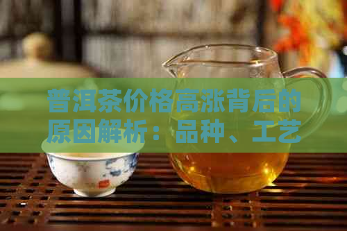 普洱茶价格高涨背后的原因解析：品种、工艺、市场与文化等多方面因素影响