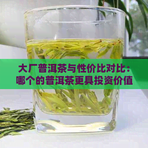 大厂普洱茶与性价比对比：哪个的普洱茶更具投资价值？