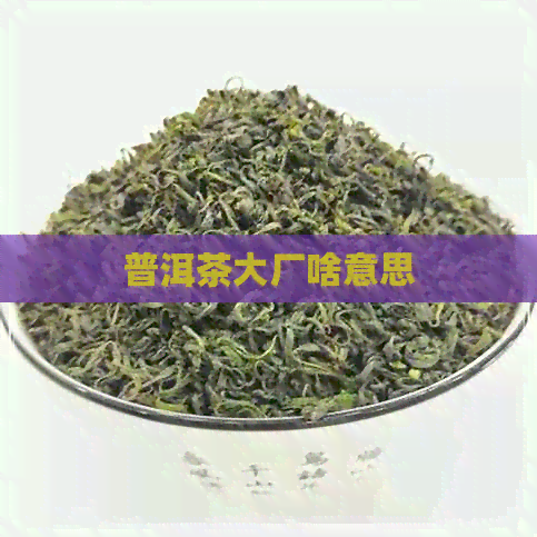 普洱茶大厂啥意思