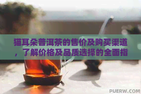 猫耳朵普洱茶的售价及购买渠道，了解价格及品质选择的全面指南