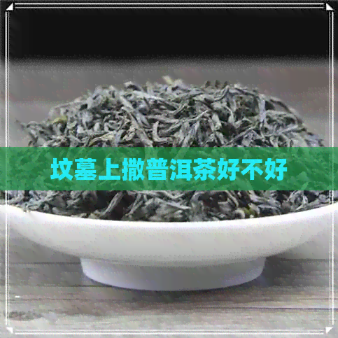 坟墓上撒普洱茶好不好