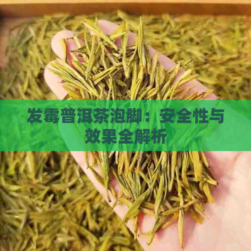 发霉普洱茶泡脚：安全性与效果全解析