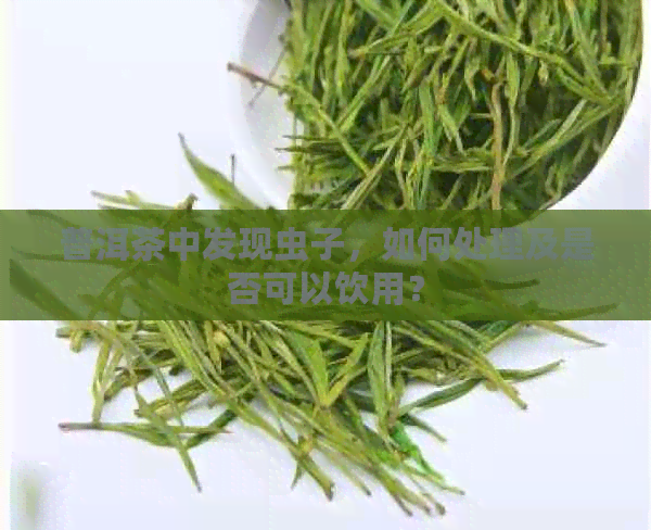 普洱茶中发现虫子，如何处理及是否可以饮用？