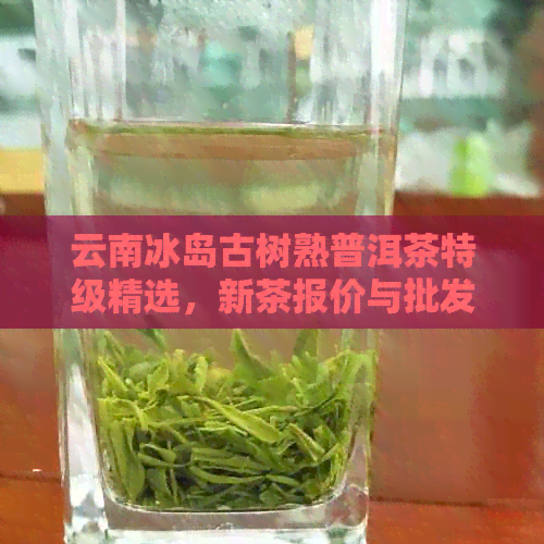 云南冰岛古树熟普洱茶特级精选，新茶报价与批发商联系