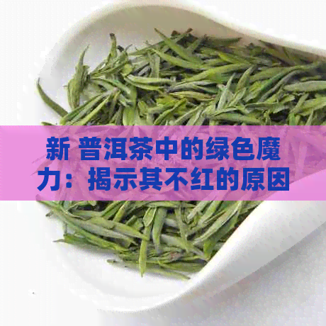 新 普洱茶中的绿色魔力：揭示其不红的原因及其独特的风味