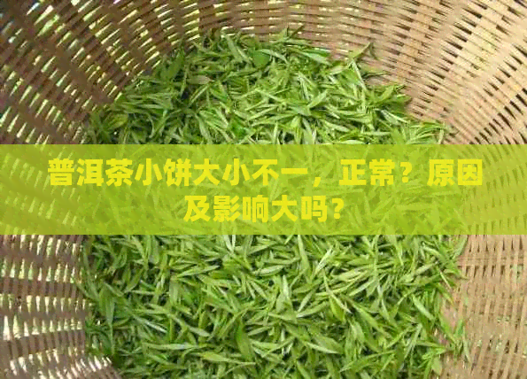 普洱茶小饼大小不一，正常？原因及影响大吗？