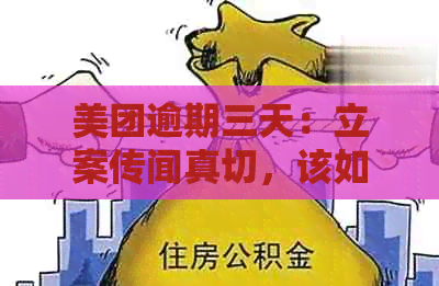 美团逾期三天：立案传闻真切，该如何应对？