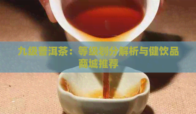 九级普洱茶：等级划分解析与健饮品商城推荐