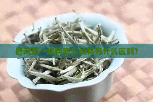 普洱茶一级料到九级料有什么区别？